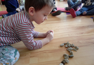 Chłopiec ogląda kamienie
